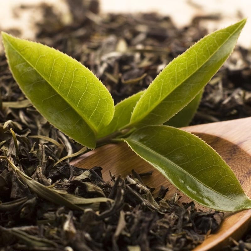 ���y�����ջ������~��əC