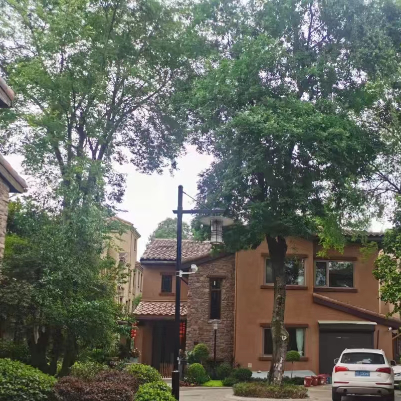 ´�����B(t��i)��  ������׃�l�ƽѺ�غ����{(di��o) 2�_(t��i)